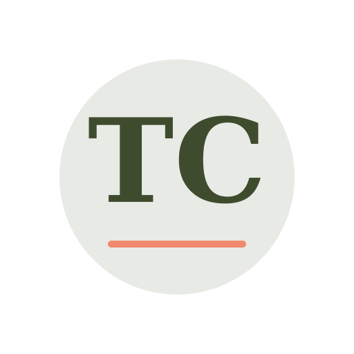 Teak Chimney Repair logo
